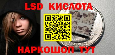 прущие крисы Камышлов