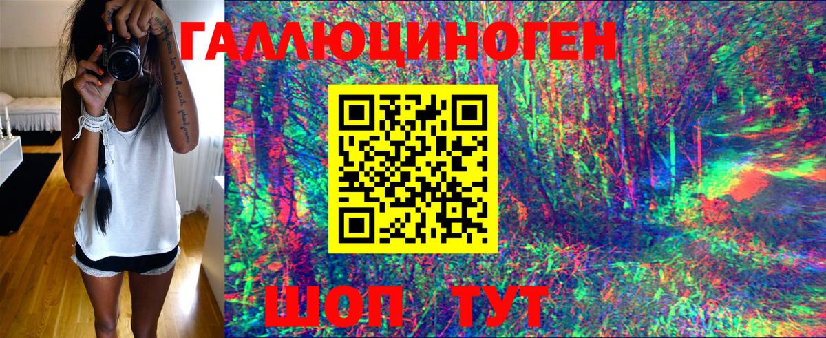 Галлюциногенные грибы Psilocybine cubensis Электросталь
