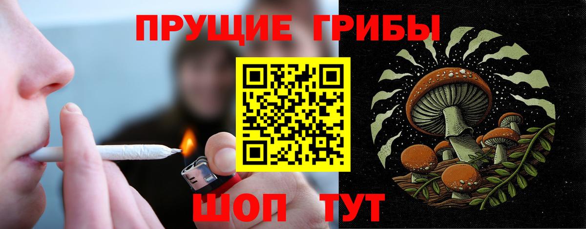 Галлюциногенные грибы MAGIC MUSHROOMS  Вход с VPN  Электросталь  Псилоцибиновые грибы ЛСД 
